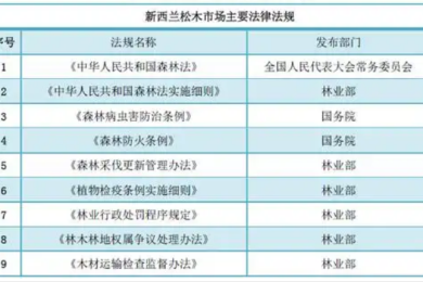 西瓜视频下载保存全攻略!从下载安装到使用注意事项!保姆级教程!